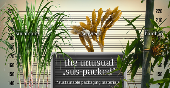 barus_cappelen_paper_sus-packed_sujetB_2334271339_content_570x297_01P_materials_346.jpg